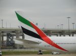 DFW_A6-EWD_(3).jpg