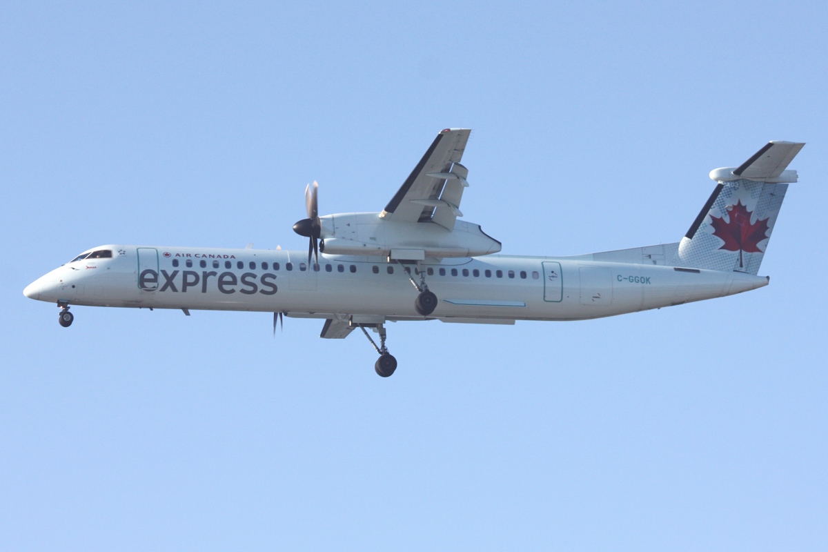 C-GGOK